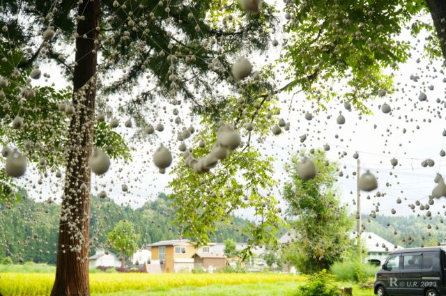 Bells hung from trees