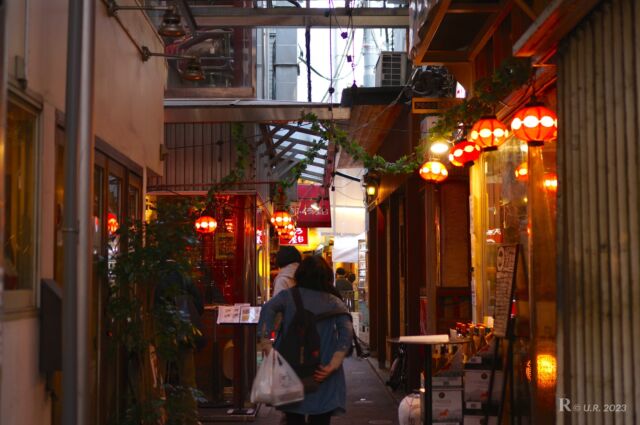 Backstreet of Kichijoji